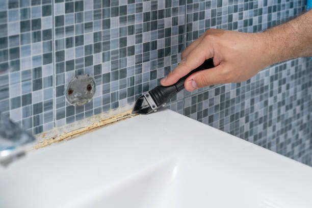 Best Certified Mold Removal  in Bethel Island, CA